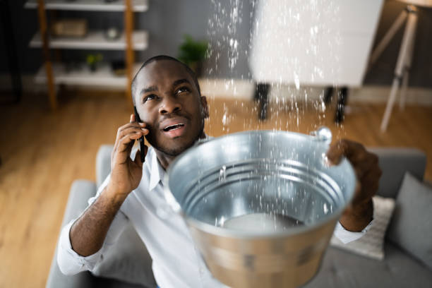 Best Basement water damage restoration  in Mack, OH