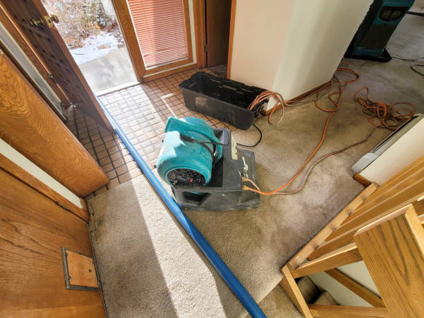 Best Water damage cleanup near me  in Mack, OH