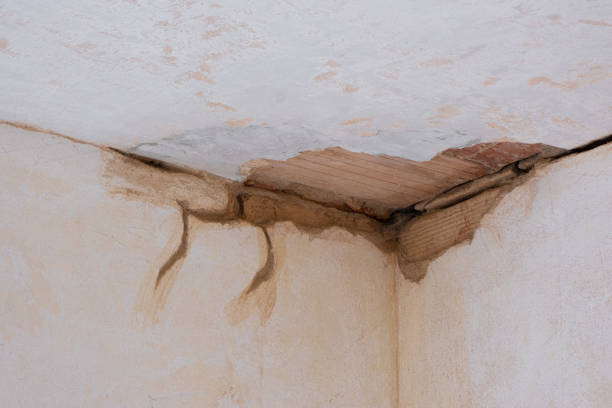 Best Residential water damage restoration  in Mack, OH