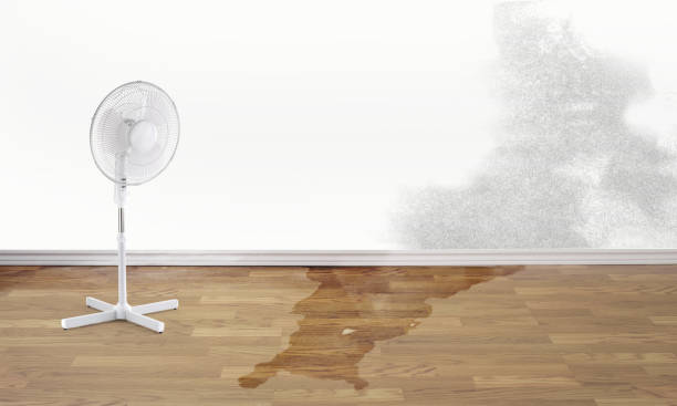 Best Emergency water damage restoration  in Mack, OH