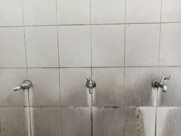 Best 24/7 water damage repair  in Mack, OH