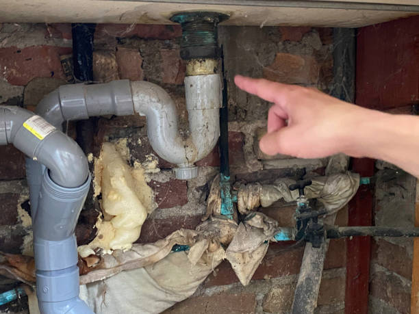 Best Water damage restoration near me  in Mack, OH
