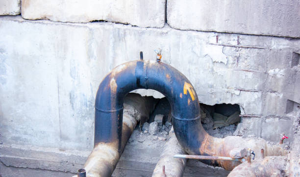 Best Water damage mitigation services  in Mack, OH
