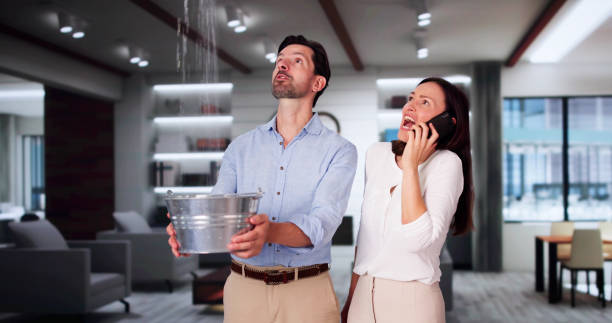 Best 24-hour water damage restoration  in Mack, OH